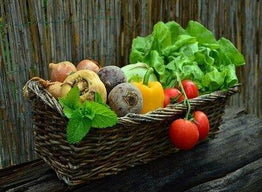 Why Growing Your Own Organic Vegetable Garden is a Great Benefit